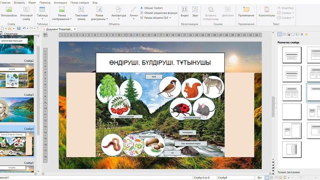 Жаратылыстану 5-сынып. Экожүйе тақырыбы.