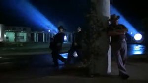 Minnie The Moocher The Blues Brothers.flv