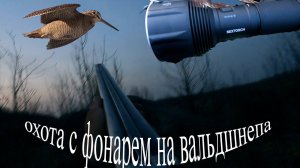 шикарная охота на вальдшнепа 2024 с курковкой