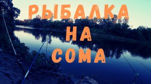 РЫБАЛКА НА СОМА С БЕРЕГА ДОНКИ РАБОТАЛИ ПО ВСЕЙ РЫБЕ! ПЕРВЫЙ МОЙ СОМ!