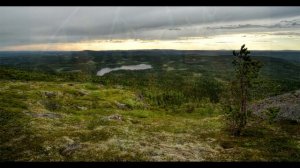 Охота на мамонта - абсурд