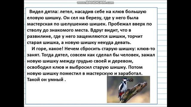 Видеоурок во 2 классе  Тема  Текст Типы текстов