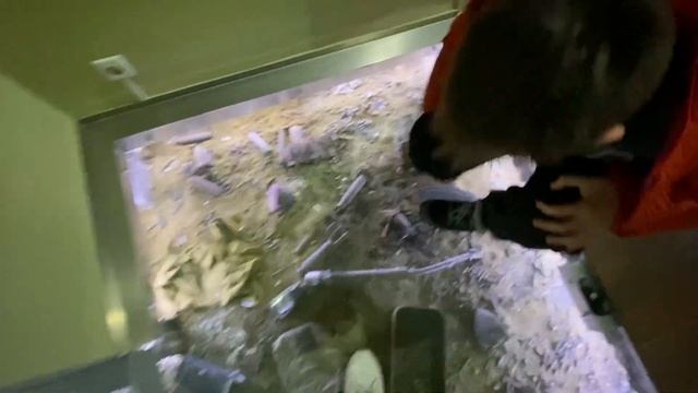 Патроны для автомата Калашникова 7,62 и 5,45 смотреть онлайн