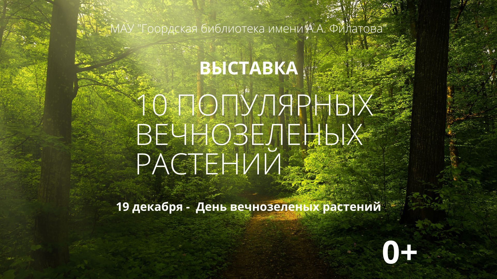 10 популярных вечнозеленых растений