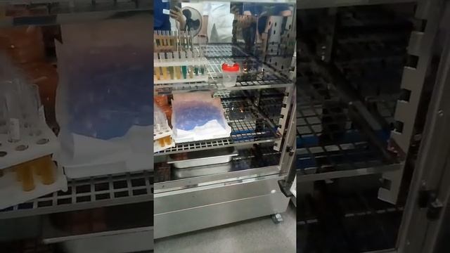 Тайны лаборатории. Хотите узнать как делают анализы в лаборатории?