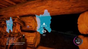 Дюп кроликов | The forest