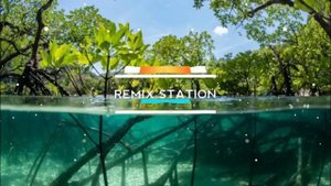 Stand By Me (Reggaeton Remix) Ben E. King Tiktok Zumba Disco Dj Rowel, Dj Gibz - Remix Station