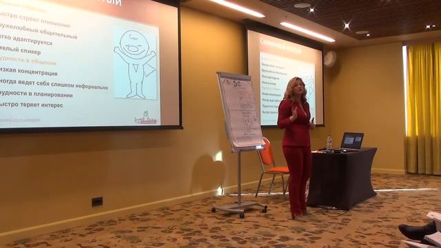 Цветная типология клиентов Ирина Сальникова