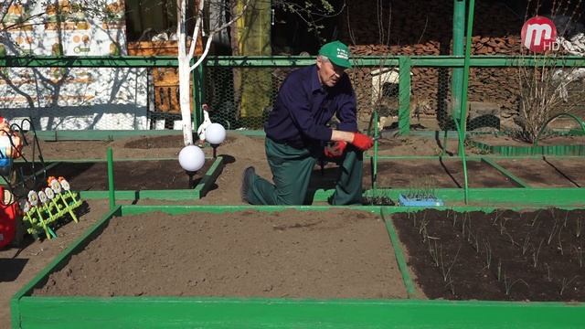 Во саду ли, в огороде (выпуск от 20.05.2022)