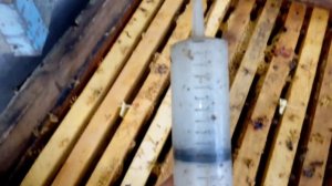 Маврик! Обработка пчел! Дозировка