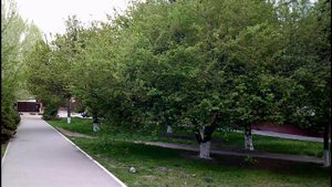 Кулешовка. Край, в котором я живу.