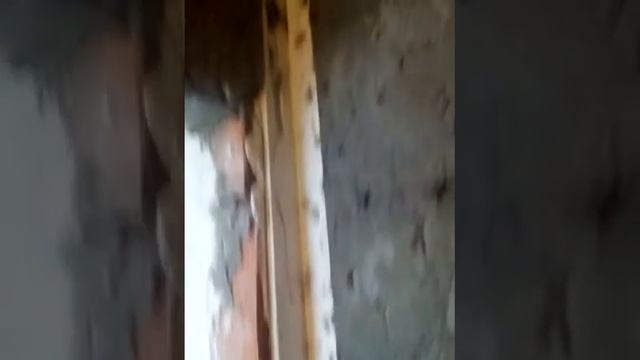 Цементная штукатурка