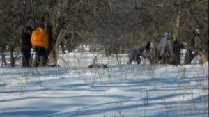 костер в парке 18го века в городе Богородицк