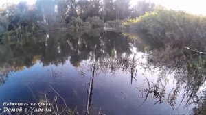 Весенняя ловля карася на удочку с берега. Вся правда)))