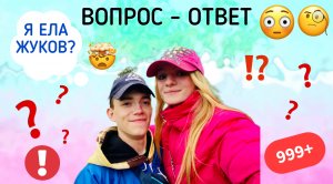 ВОПРОС - ОТВЕТ