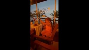 Отель Quattro Family Club Dem Hotel Турция Алания. РумТур номера. Анимация. Территория. Море