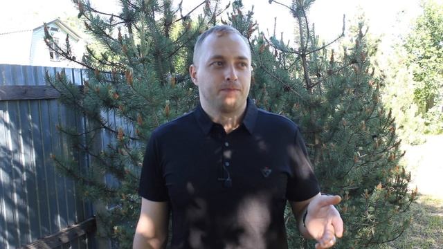 Часть 2. Как мы строили бизнес, как набирали команду и что было интересного. смотреть онлайн