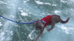 Большое Голоустное | Зима на Байкале | Байкал