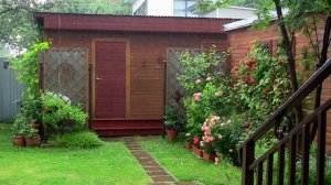 Летний дождик. Дачные картинки 2023