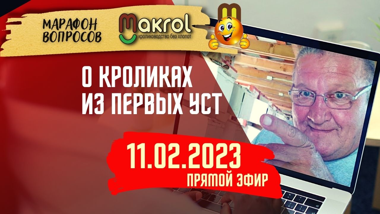 11 февраля 2023г. ?Кролиководство в прямом эфире #Макляк #Макрол