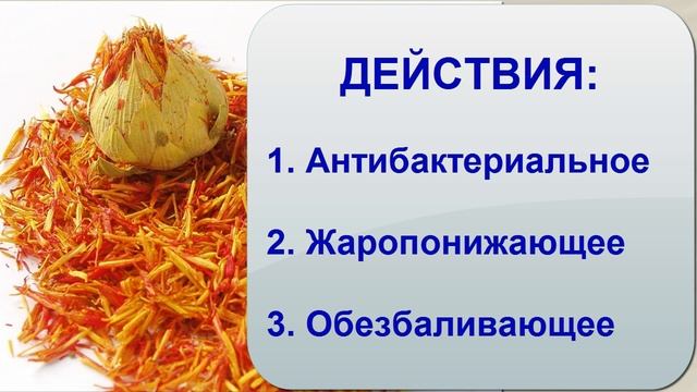 Как лечить туберкулез легких при помощи азиатской медведки?