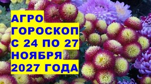 Агрогороскоп с 24 по 27 ноября 2022 года