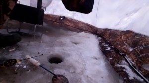 ЗИМНЯЯ РЫБАЛКА НА СЕВЕРЕ БЫВАЕТ СУРОВАЯ