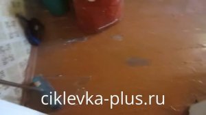 Циклевка крашеного дощатого пола