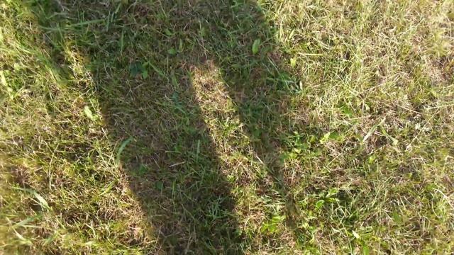 .........БОСИКОМ БЫ ПРОБЕЖАТЬСЯ ПО ТРАВЕ....... смотреть онлайн