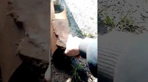 лопата для копки траншеи