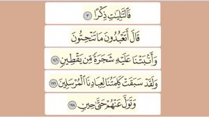 Буква ت. Махрадж. Айман Сувейд. Таджвид. Правильное произношение арабских букв.