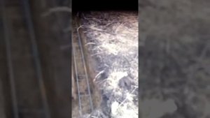 Как просто и легко залить фундамент под дом за один день
