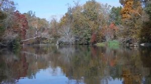 Mississippi Kayking -- 2 minutes of peace and serenity.