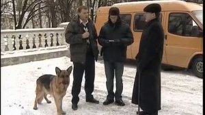 Возвращение Мухтара 2. Королевская пешка