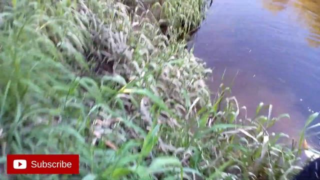 ПОДВОДНАЯ КАМЕРА ПРОТИВ ЭХОЛОТА! Трофейная щука поздней осенью смотреть онлайн