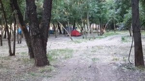 База отдыха "Камышовый рай" Ростовская область станица Багаевская