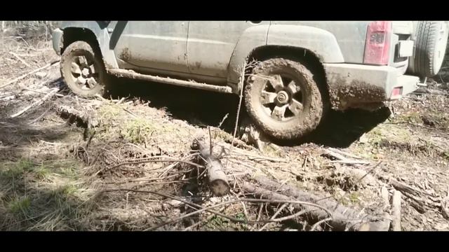 Костромские тропы