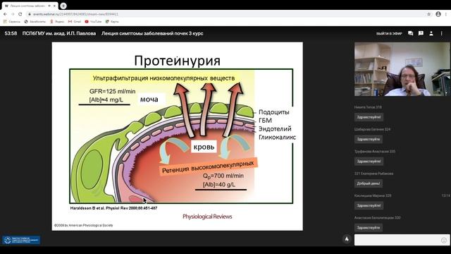 Симптомы заболеваний почек и мочевыводящих путей смотреть онлайн