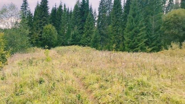Республика Удмуртия. Гора Байгурезь. #путешествиепоудмуртии #trip