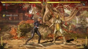 Mortal Kombat 11 Switch Gameplay