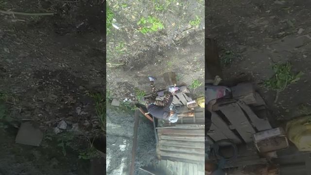 Эта я в на дачи пилу драва смотреть онлайн