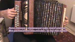 Транзитный пассажир (гармонь)