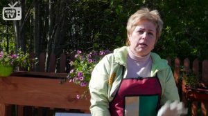 Теплые грядки ? Как сделать теплую грядку под огурцы ?сад огород с хитсад!