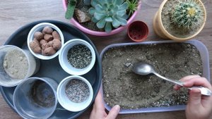 Кактусы и суккуленты - грунт / Cacti and succulents - soil