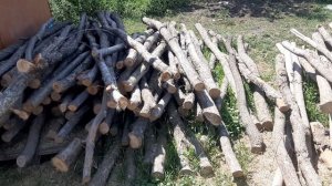 Начали гнуть дуги для лошадей в 2022г. день 1