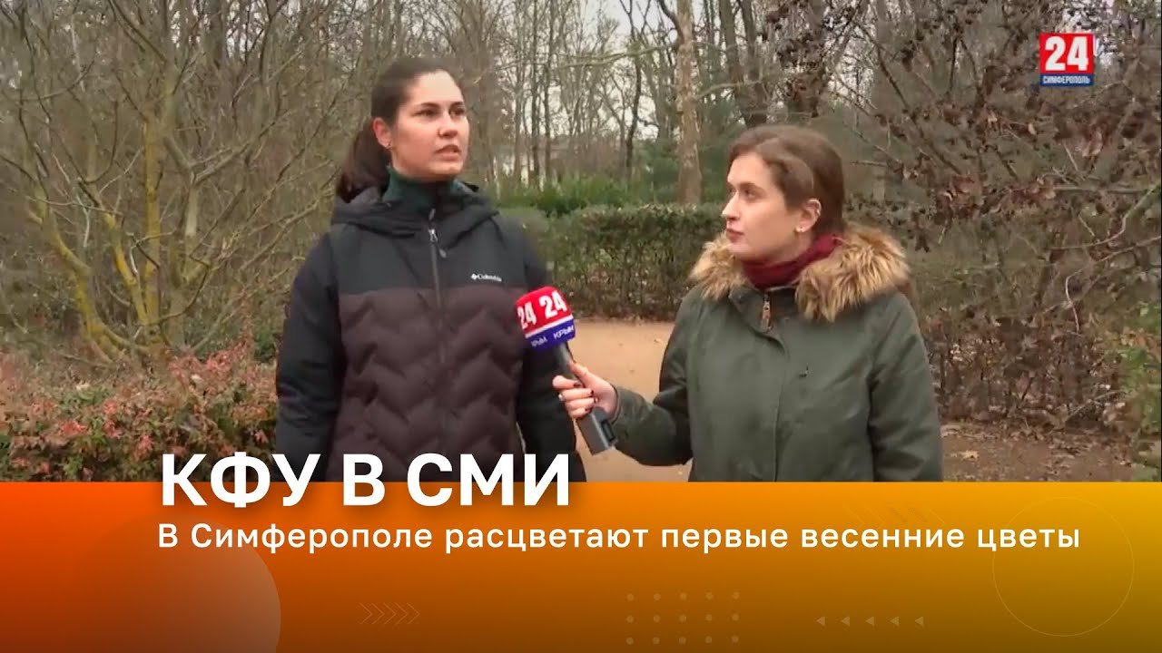 В Симферополе расцветают первые весенние цветы