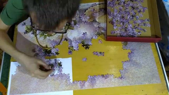 50 оттенков на 1000 пазле Castorland "Flower Day", сборка таймлапс/Timelapse puzzle смотреть онлайн