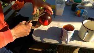 Что делать , если завелись шершни ?
