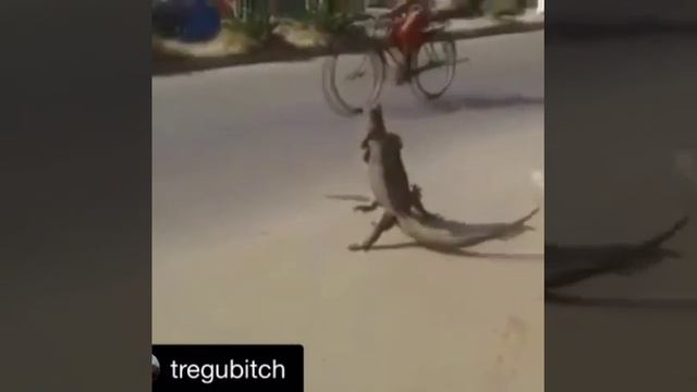 Борьба между чемпионами смотреть онлайн