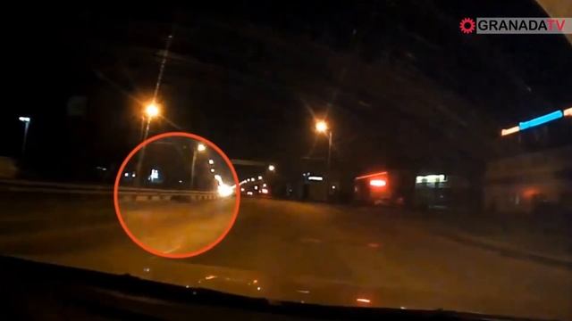 В Челябинске кабан едва не угодил под колеса на Копейском шосс смотреть онлайн